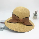 Camel color reference