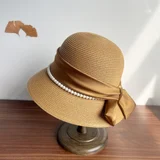 Camel color reference